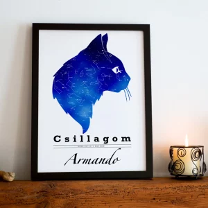 Csillagtérkép - macska - kék